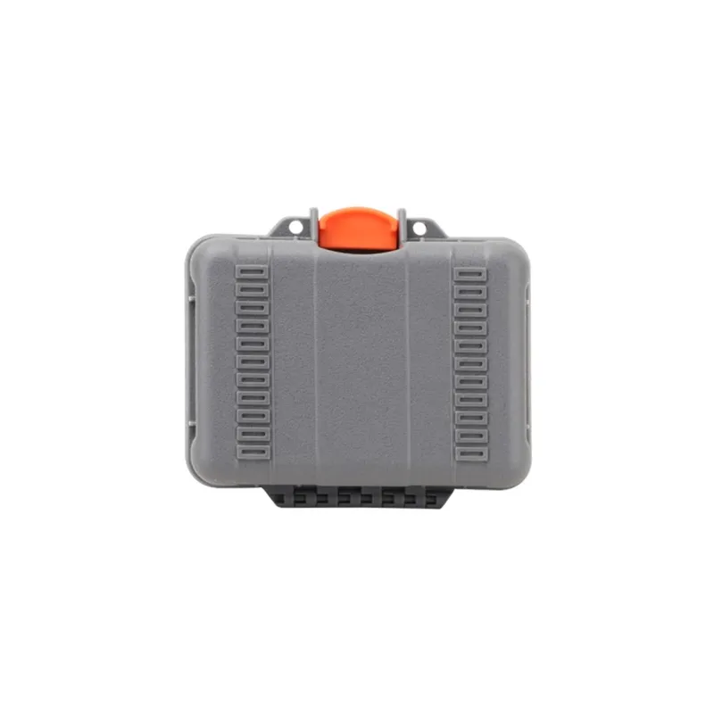 Twarde etui mini Sunnylife do Action 6